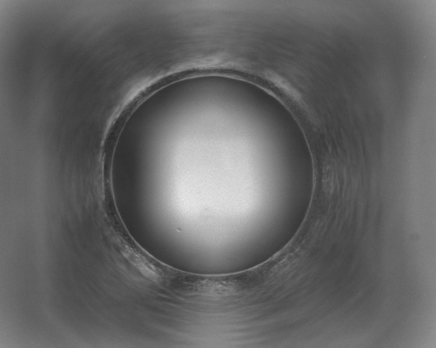 X0000062671270200512281730