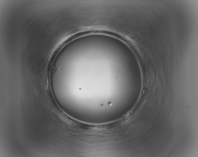 X0000062671271200512281729