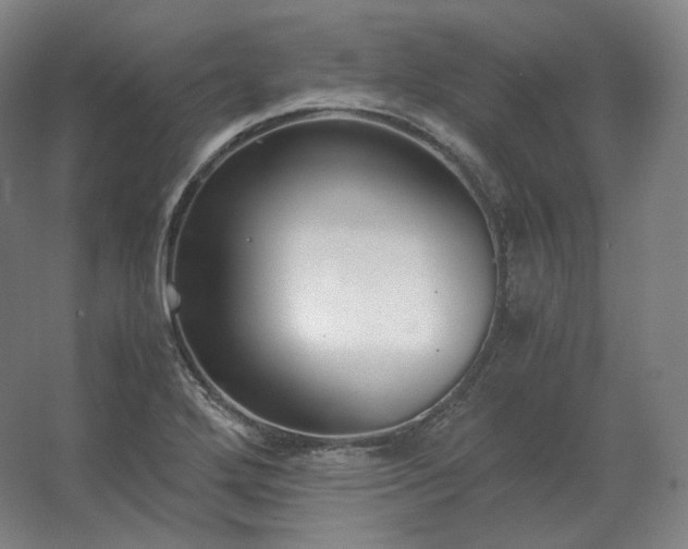 X0000062671272200512281729