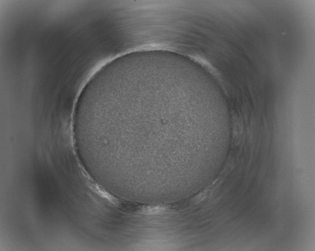 X0000062671278200512281729