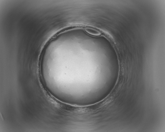 X0000062671279200512281729