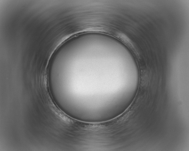 X0000062671284200512281729