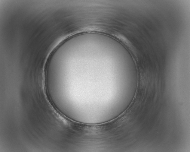 X0000062671286200512281729