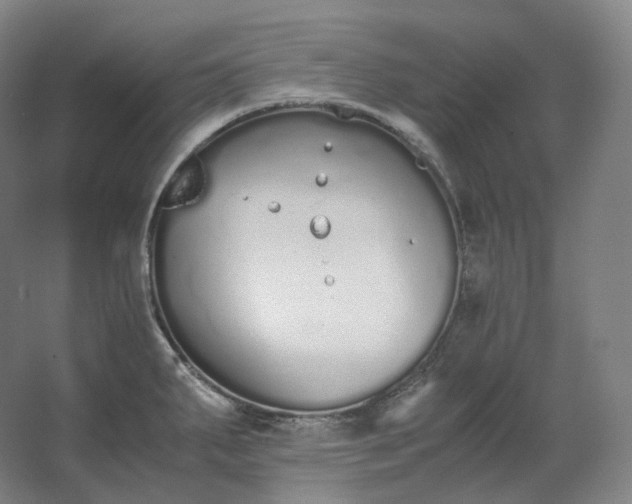 X0000062671287200512281729