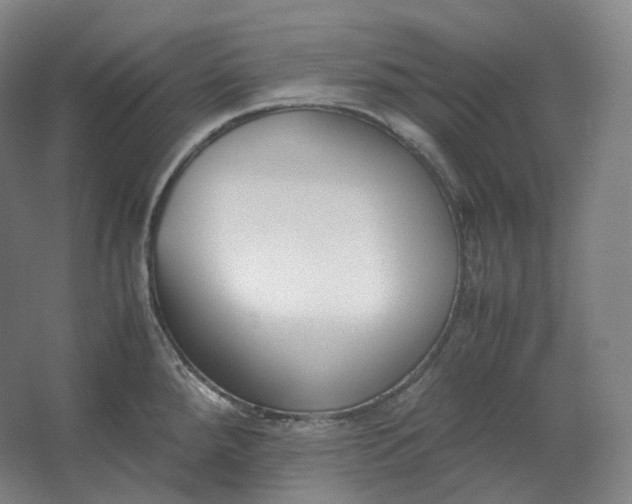 X0000062671288200512281729