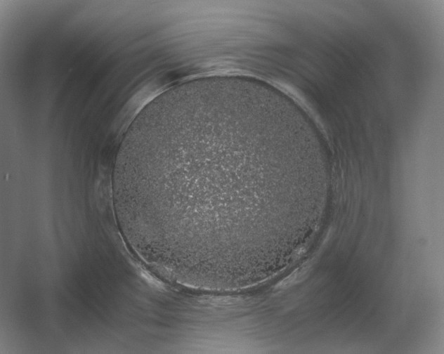 X0000062671289200512281729