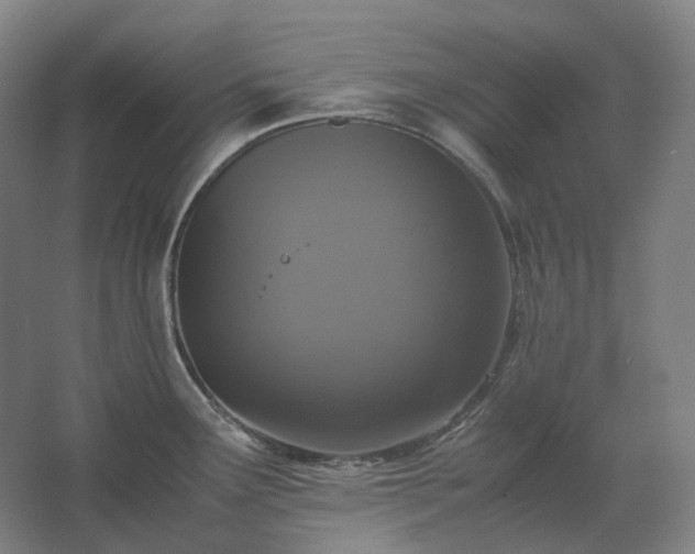 X0000062671291200512281729