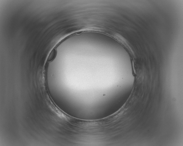 X0000062671292200512281729