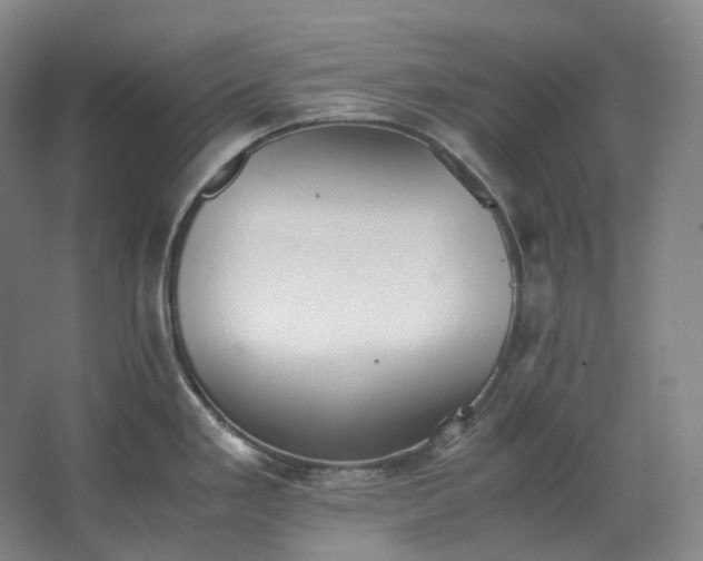 X0000062671293200512281729