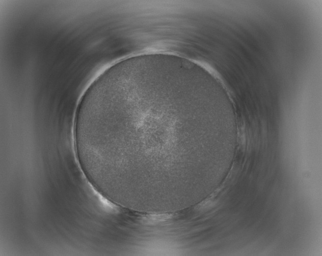 X0000062671294200512281729