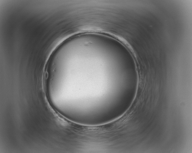 X0000062671295200512281729