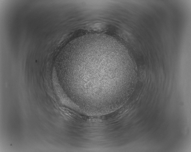 X0000062671297200512281728