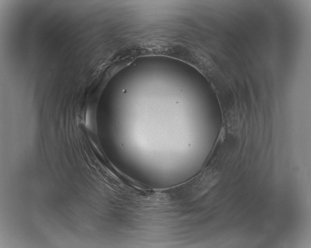 X0000062671298200512281728