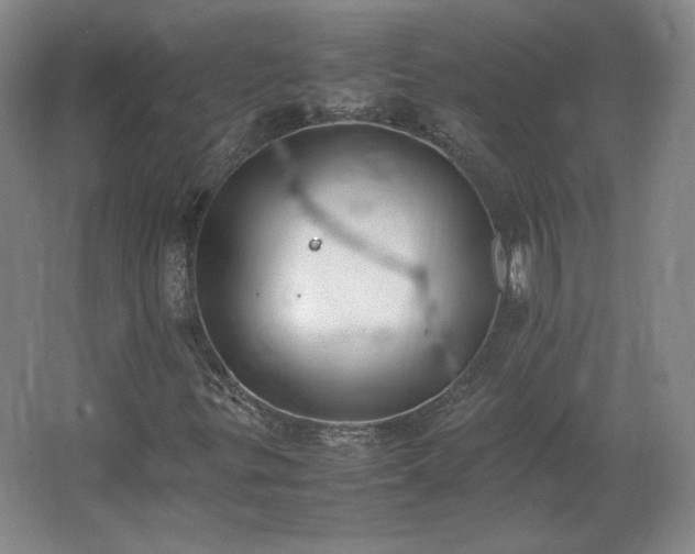 X0000062671299200512281728