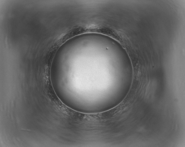 X0000062671301200512281728