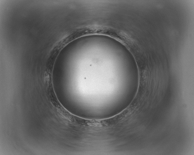 X0000062671302200512281728