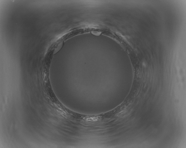 X0000062671303200512281728