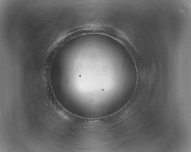 X0000062671304200512281728