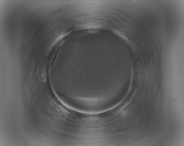 X0000062671306200512281728