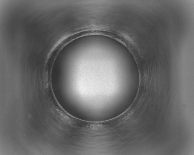 X0000062671310200512281728