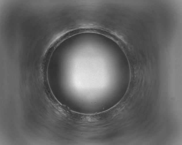 X0000062671311200512281728