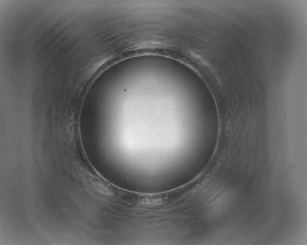 X0000062671313200512281729