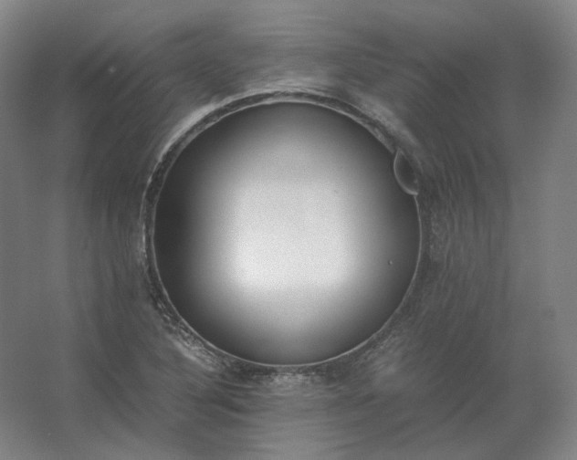 X0000062671316200512281729