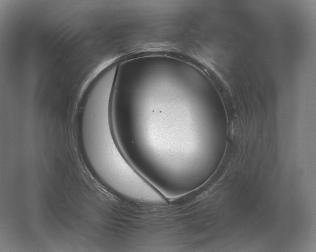 X0000062671317200512281729