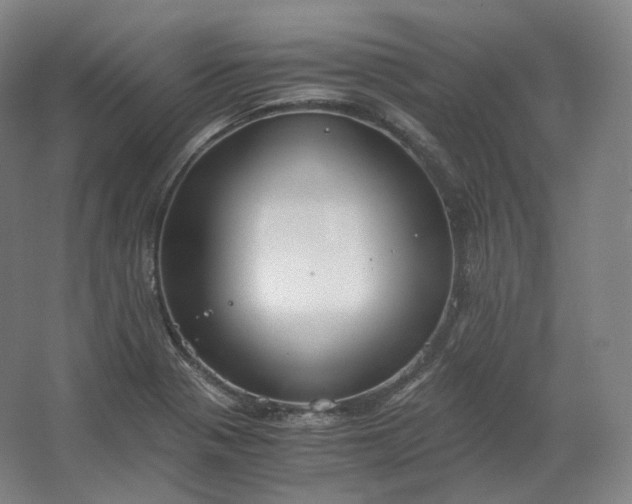 X0000062671321200512281729