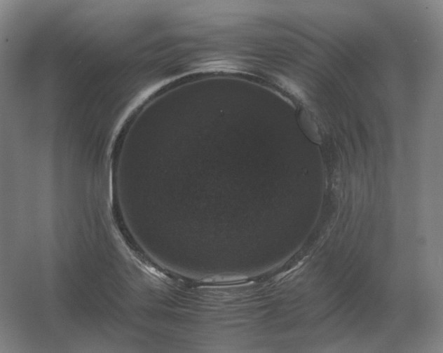 X0000062671323200512281729