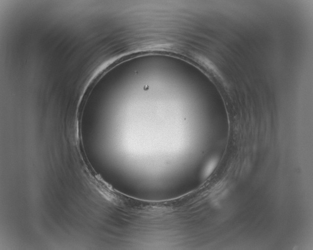 X0000062671324200512281729