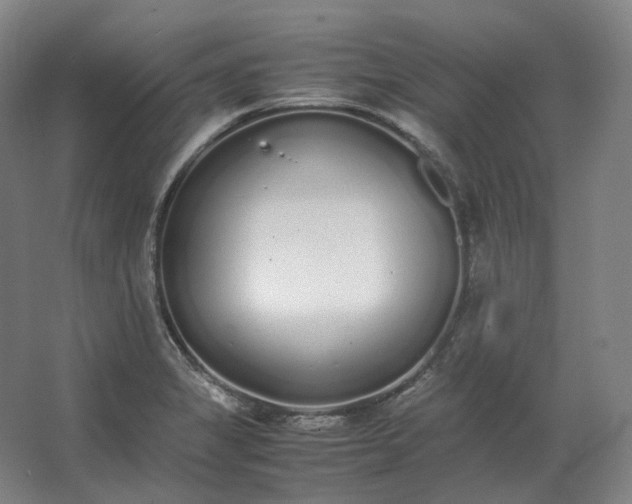 X0000062671325200512281729