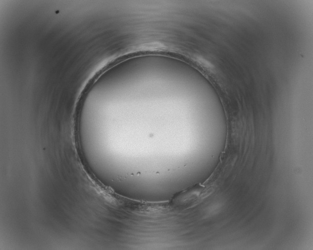 X0000062671326200512281729