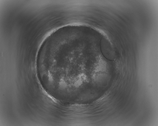 X0000062671327200512281729