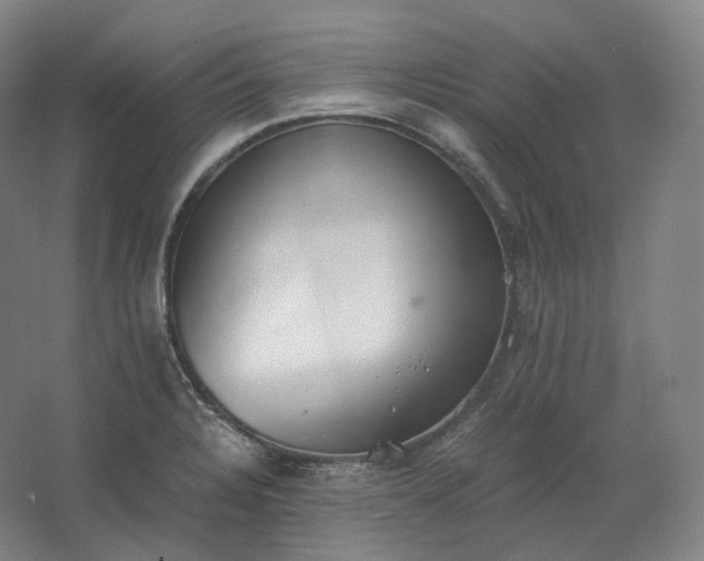 X0000062671328200512281729