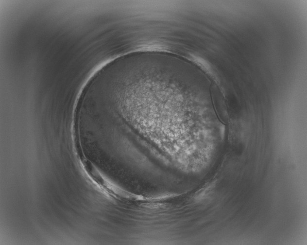 X0000062671331200512281729