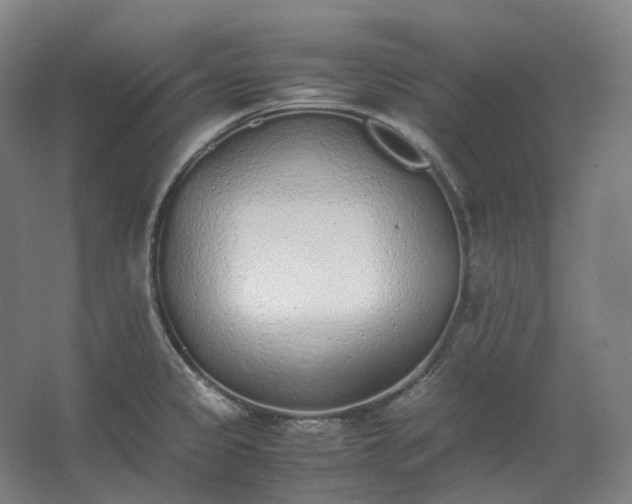 X0000062671333200512281729