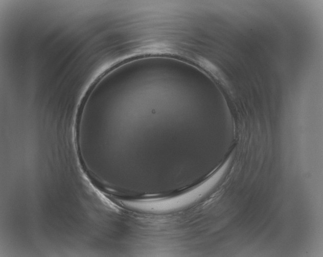 X0000062671334200512281729