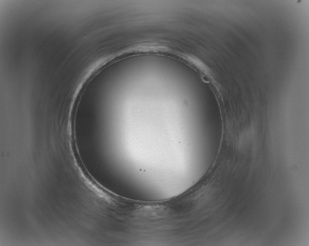 X0000062671335200512281729