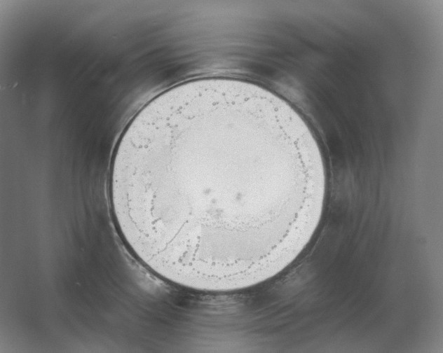 X0000062671338200512281729