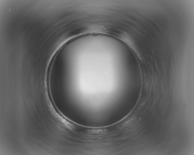 X0000062671339200512281729