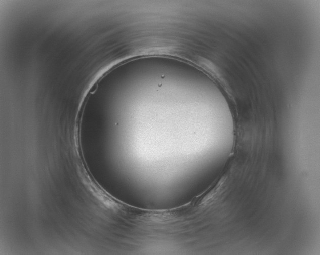 X0000062671340200512281729