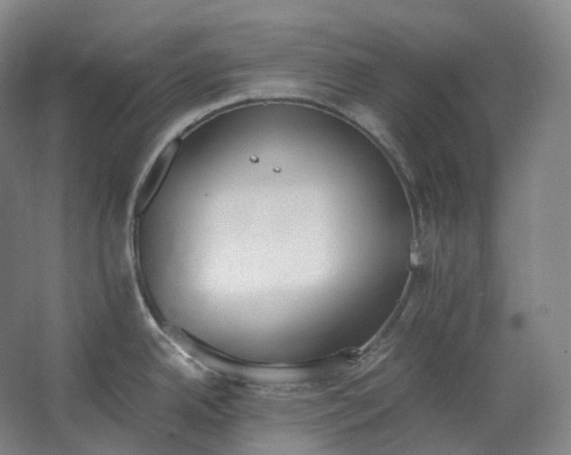 X0000062671342200512281729