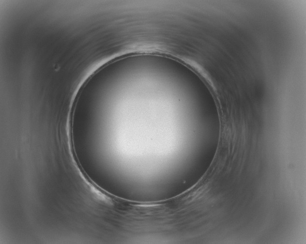 X0000062671343200512281729