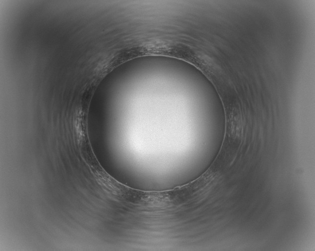 X0000062671346200512281728