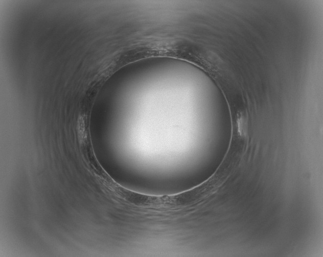 X0000062671347200512281728