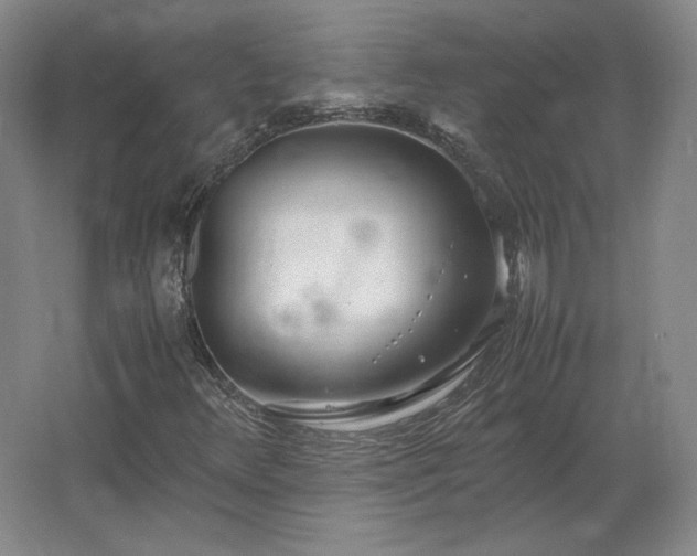 X0000062671348200512281728