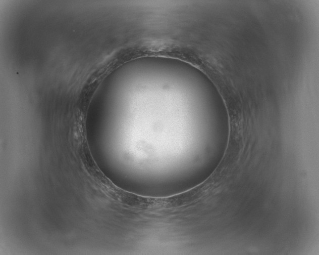 X0000062671349200512281728