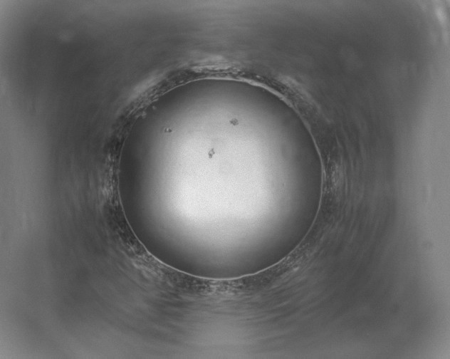 X0000062671350200512281728