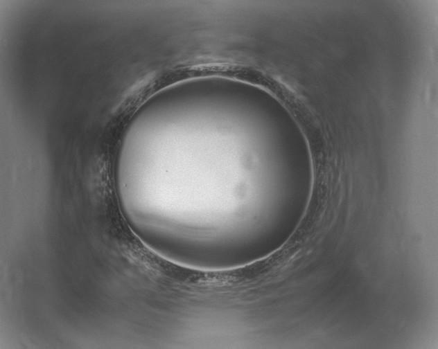 X0000062671351200512281728